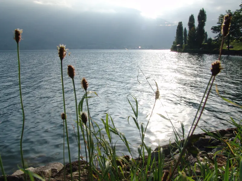Schwyz Le lac de Lauerzersee Schwyz Le lac de Lauerzersee