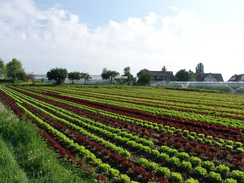 agriculture thurgau agriculture thurgau