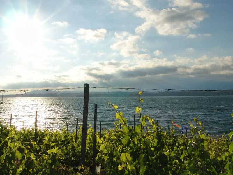 Vaud vignoble du Lavaux